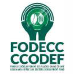 FODECC CCODEF